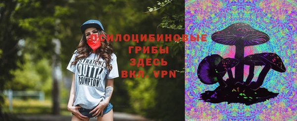 соль ск Приозерск
