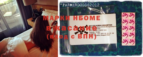 PSILOCYBIN Армянск