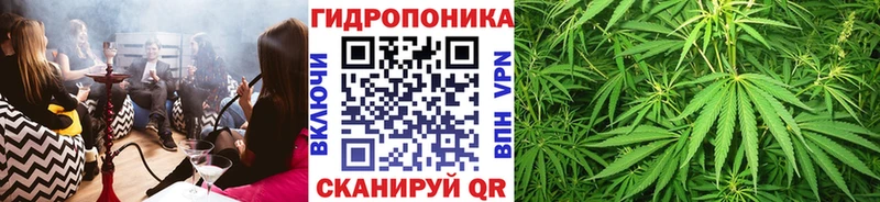 МАРИХУАНА план  Певек 